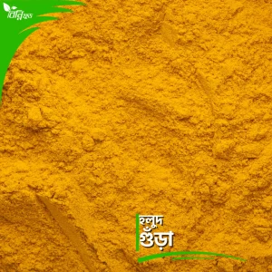 হলুদ গুঁড়া | Turmeric Powder