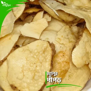 আলুর পাঁপড় | Potato Fry Chips