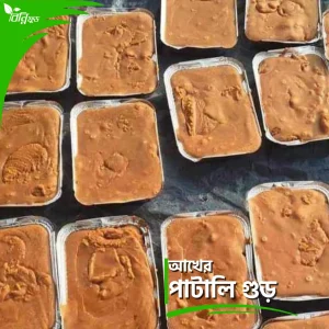 আখের পাটালি গুড় | Sugarcane Patali Molasses