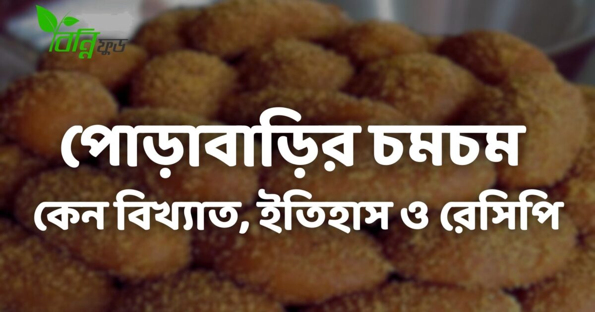 পোড়াবাড়ির বিখ্যাত চমচম ইতিহাস ও চমচম তৈরির রেসিপি