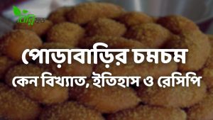 Read more about the article পোড়াবাড়ির বিখ্যাত চমচম ইতিহাস ও চমচম তৈরির রেসিপি