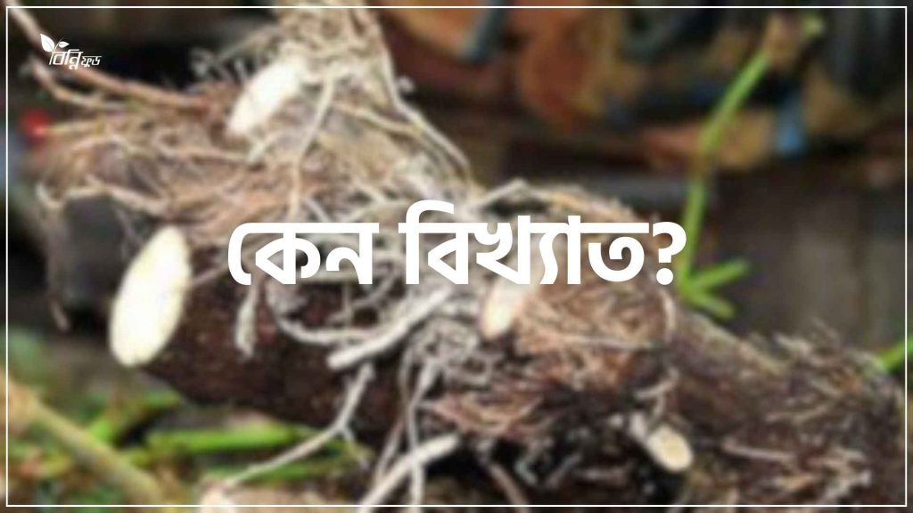 খুলনার চুইঝাল কেন বিখ্যাত?
