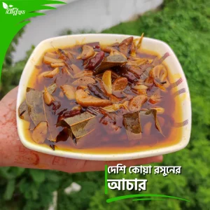 দেশি কোয়া রসুনের আচার | Garlic Cloves Pickle