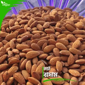 কাঠ বাদাম | Wood Nuts