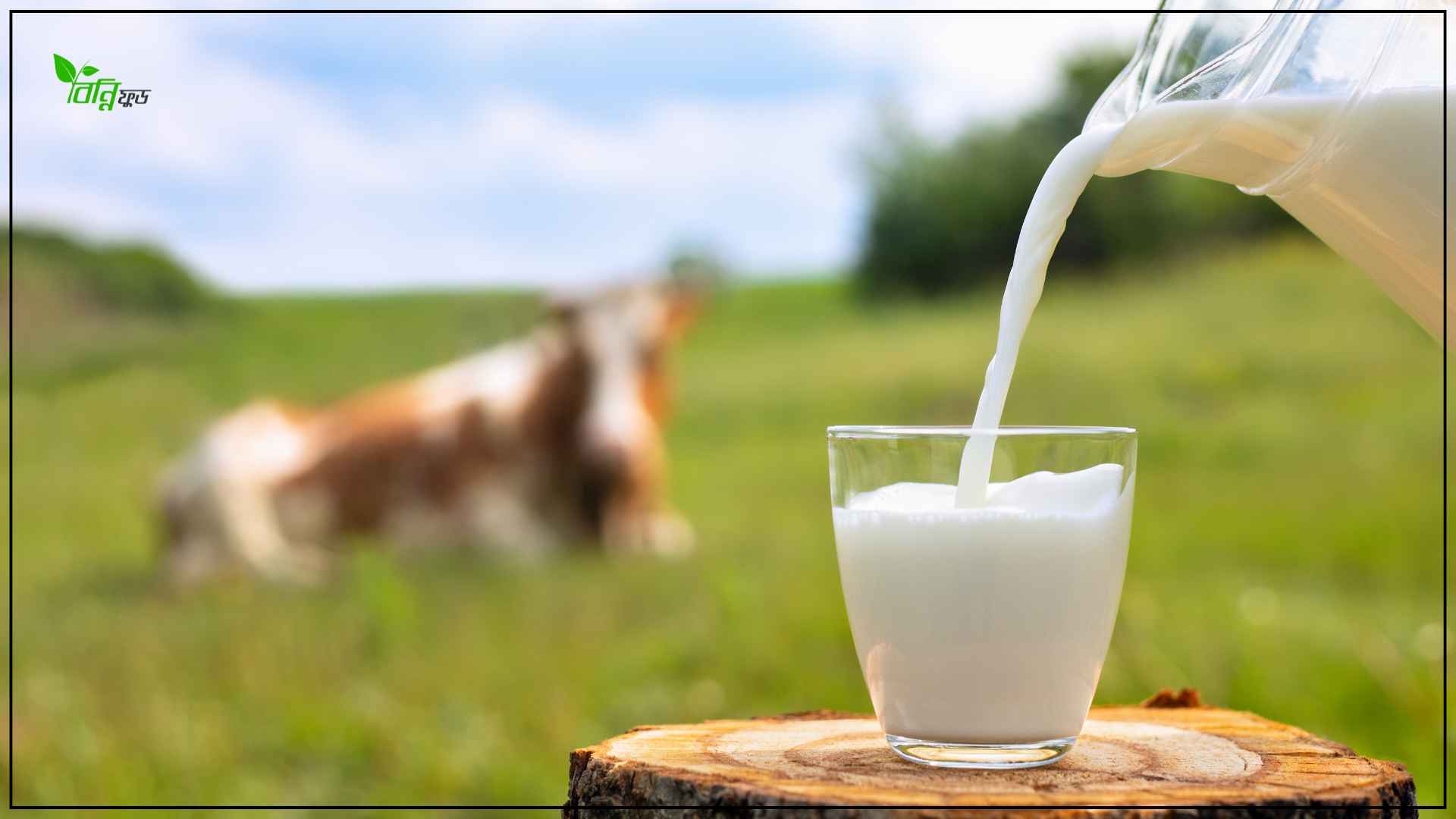 দুধ খাওয়ার উপকারিতা: স্বাস্থ্য ও শক্তির অপরাজেয় সূত্র