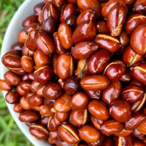 রোস্টেড চিনা বাদাম