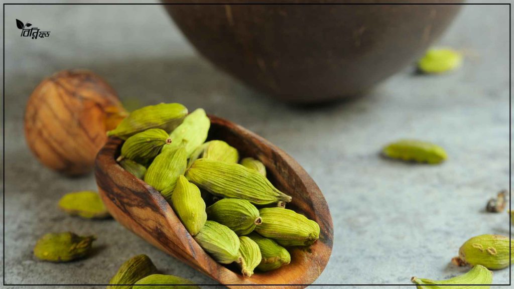 কালো এলাচ (Black Cardamom)