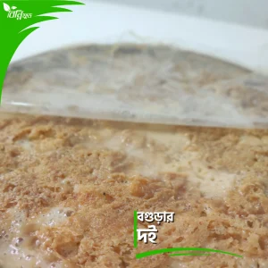 বগুড়ার দই | Premium Yogurt