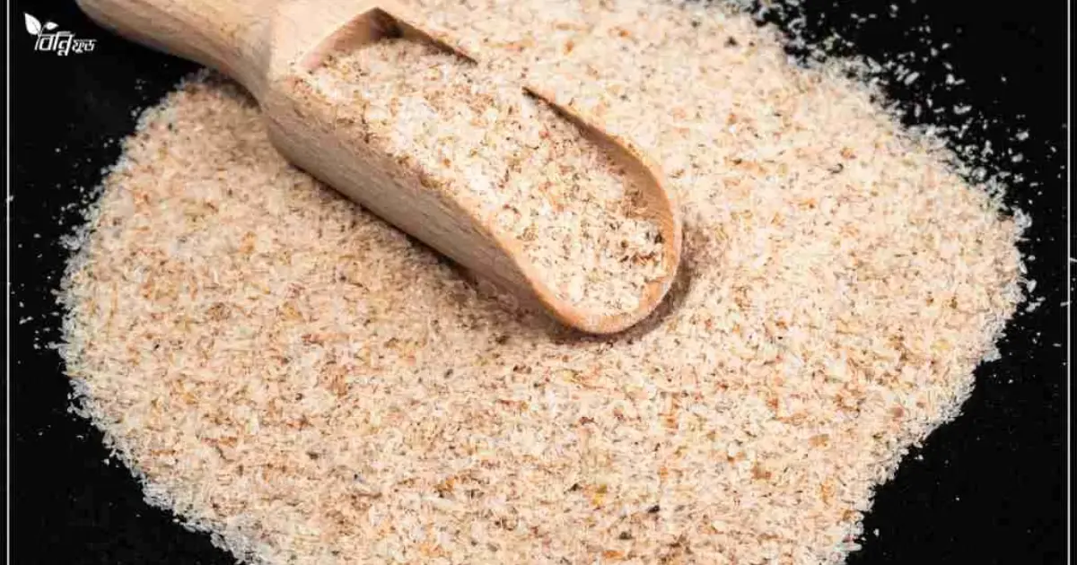 ইসবগুলের ভুসি খাওয়ার নিয়ম, উপকারিতা ও সর্তকতা