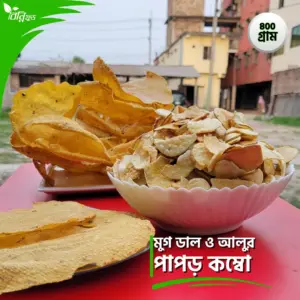 মুগ ডাল ও আলুর পাঁপড়